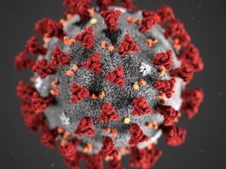 Koronavirus og hvordan det håndteres hos oss